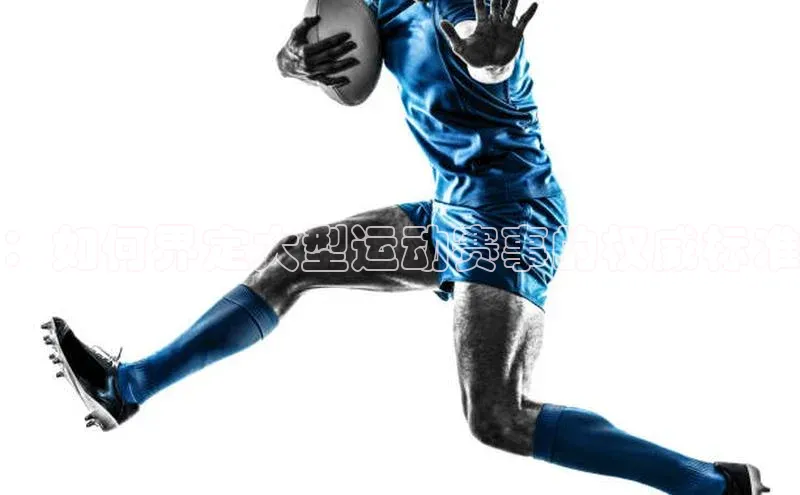 ：如何界定大型运动赛事的权威标准