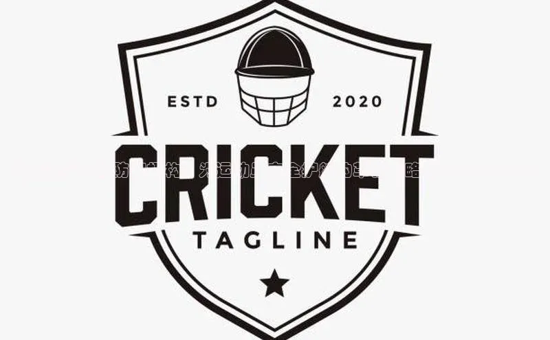 福建赛事运动防护机构：为运动员安全护航的革新策略与成功案例分析