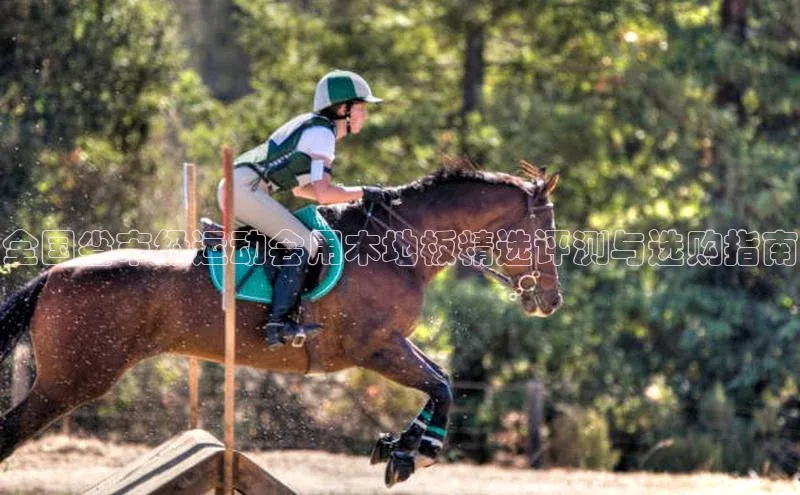 全国省市级运动会用木地板精选评测与选购指南
