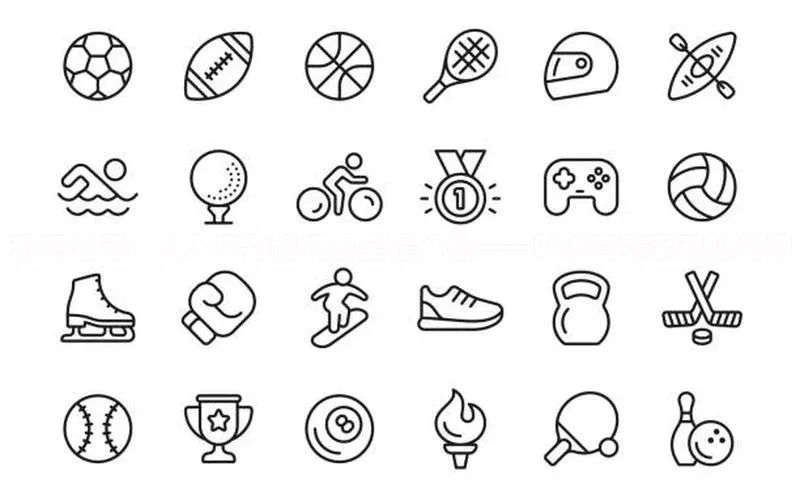 观赛之花：从入场到退场的全程体验——以体育赛事观礼为例