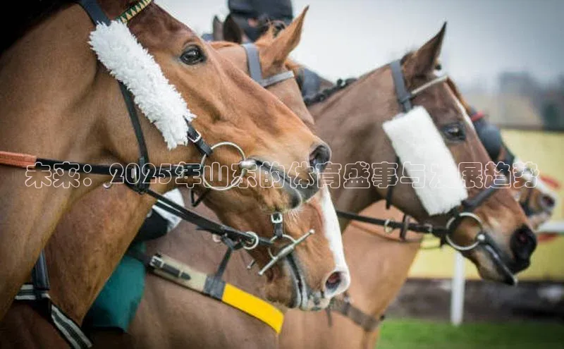 未来：2025年山东的体育盛事与发展趋势