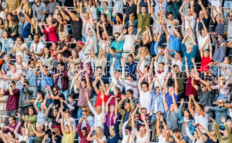 战马运动：赛场上无尽的激情与荣耀