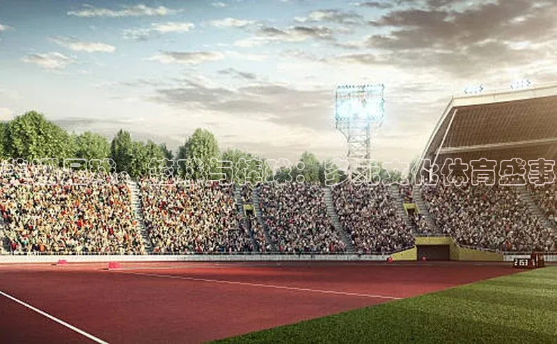 美洲足球、篮球与棒球：多元文化体育盛事