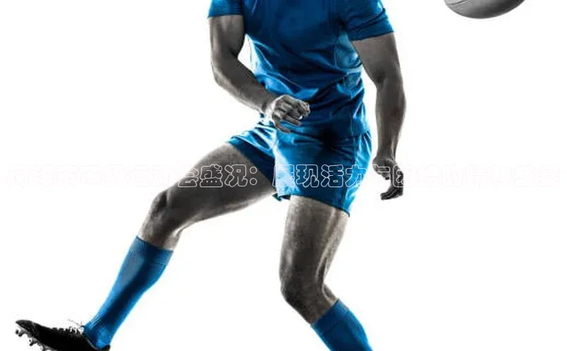 菏泽市市级运动会盛况：展现活力与团结的精神盛宴