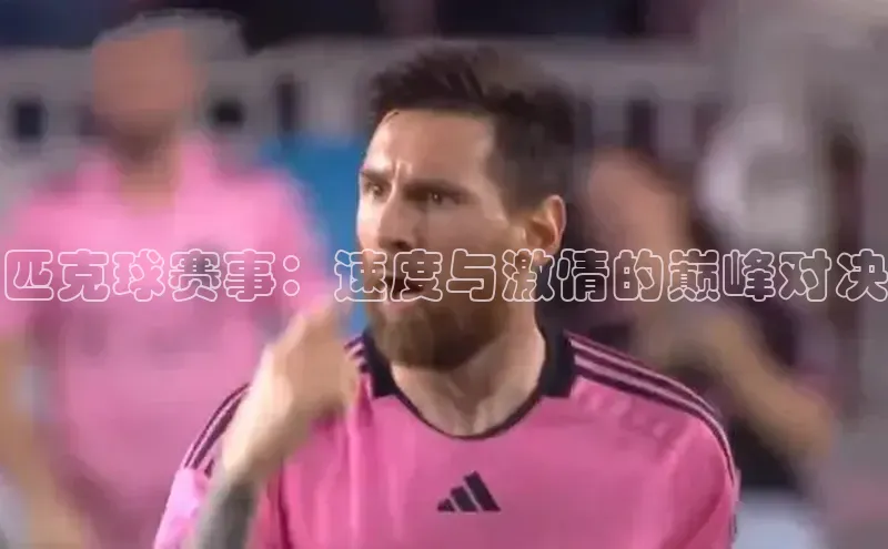 匹克球赛事：速度与激情的巅峰对决