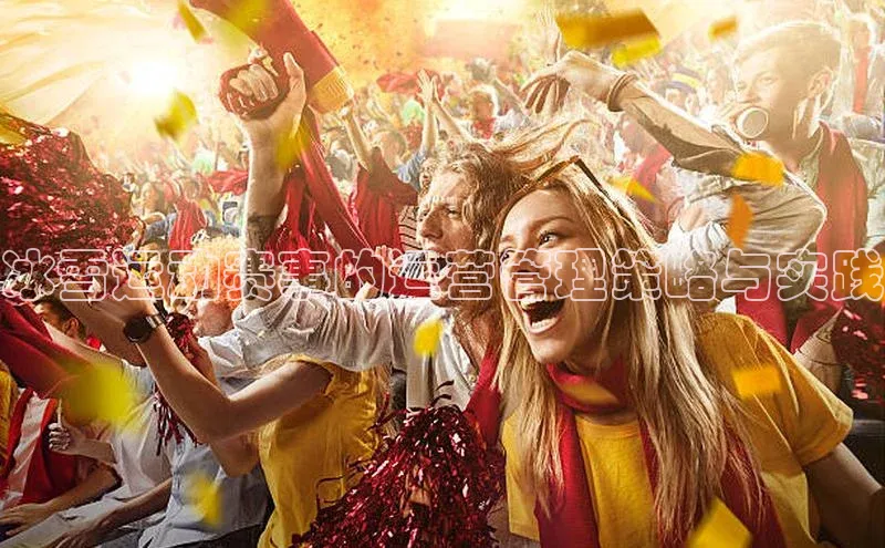 冰雪运动赛事的运营管理策略与实践