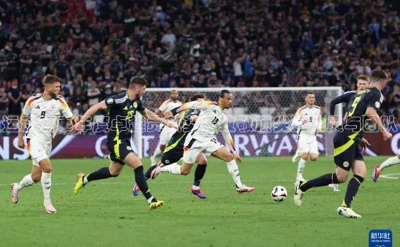 运动赛事年度卓越贡献奖：致敬顶尖运动员与团队