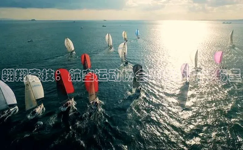 翱翔竞技：航空运动协会赛事的精彩纷呈