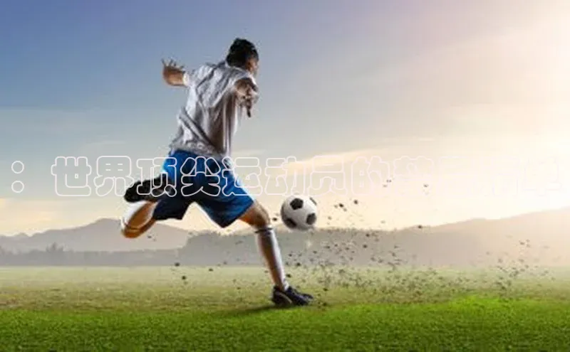 半岛bob·体育中国官方网站