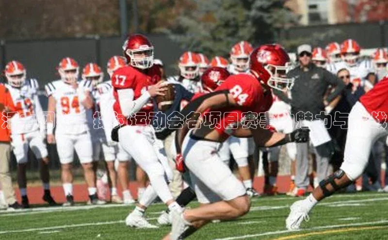 活力四射：探讨运动会各项目赛事的魅力与挑战