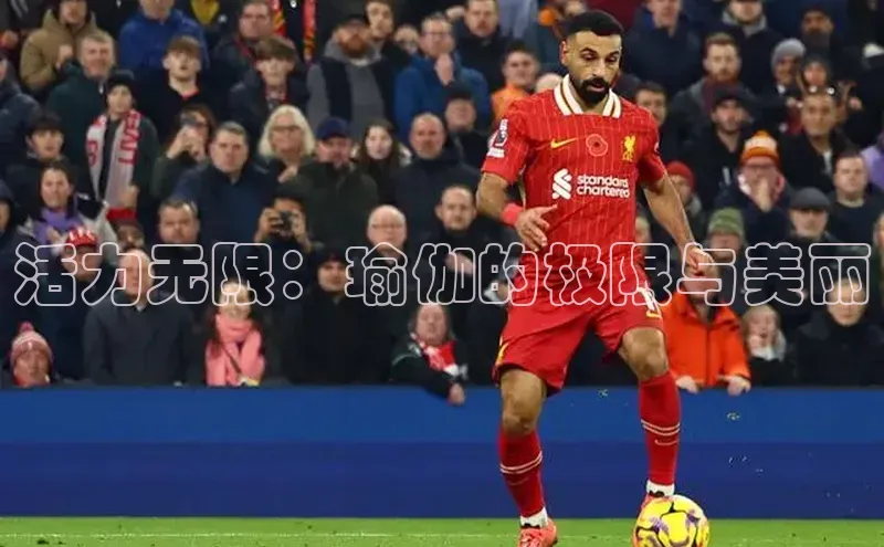 活力无限：瑜伽的极限与美丽